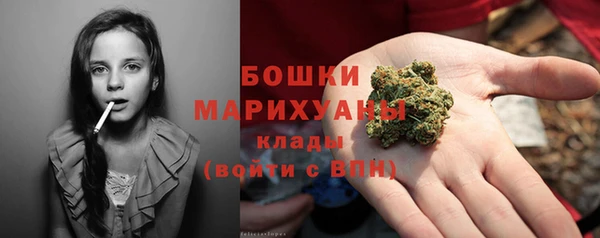 сатива Надым