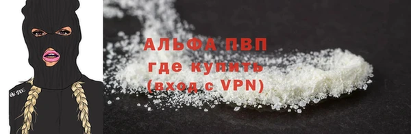 сатива Надым