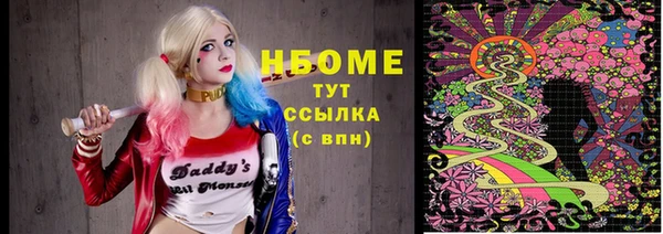 сатива Надым