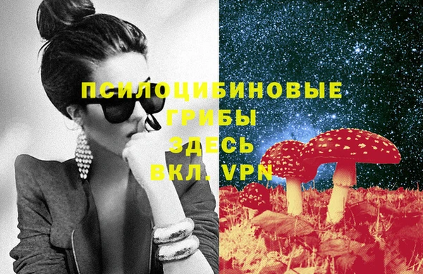 сатива Надым
