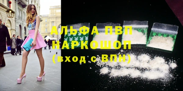 сатива Надым