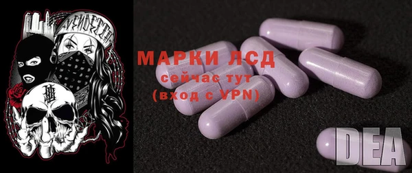 сатива Надым