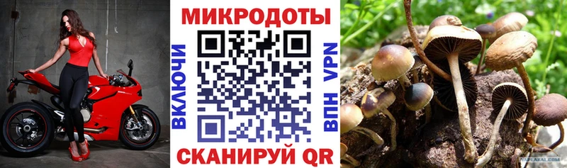 магазин продажи Сальск Галлюциногенные грибы мухоморы