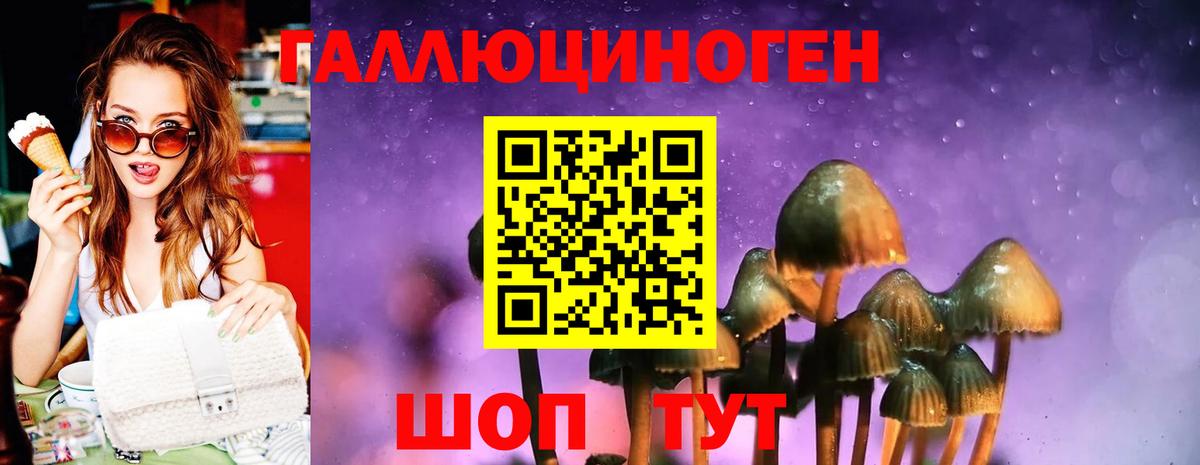 Галлюциногенные грибы Cubensis Сальск